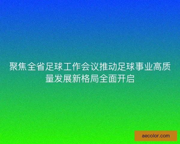 聚焦全省足球工作会议推动足球事业高质量发展新格局全面开启
