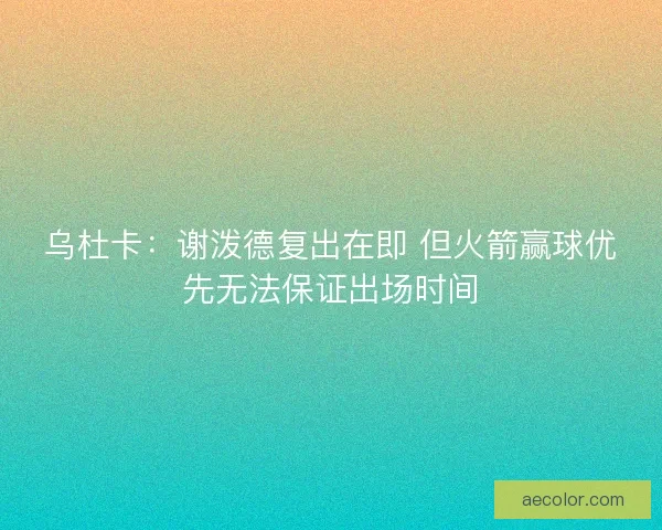 乌杜卡：谢泼德复出在即 但火箭赢球优先无法保证出场时间