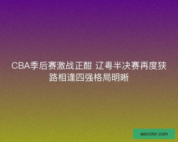 CBA季后赛激战正酣 辽粤半决赛再度狭路相逢四强格局明晰